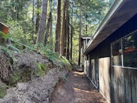 a dirt path leading to a house in the woods