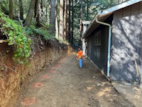 a boy is walking down a path in the woods